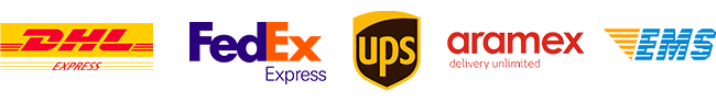 express shipping providers