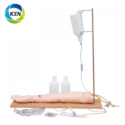 IN-410 Hospital education medical human teaching model Blood Pressure Training Arm