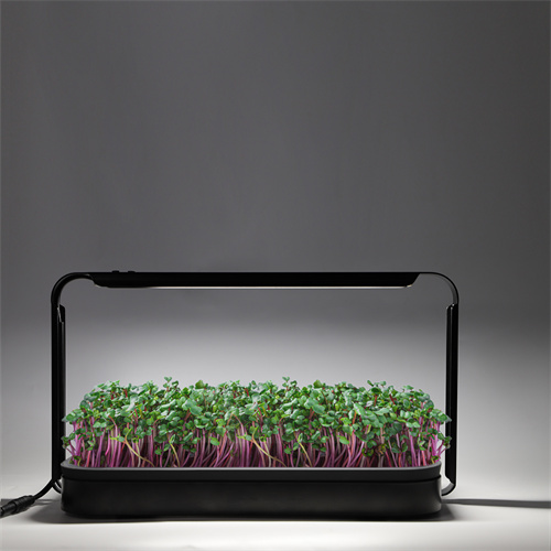 Indoor Hydroponics Smart Garden Growkit für grünes...