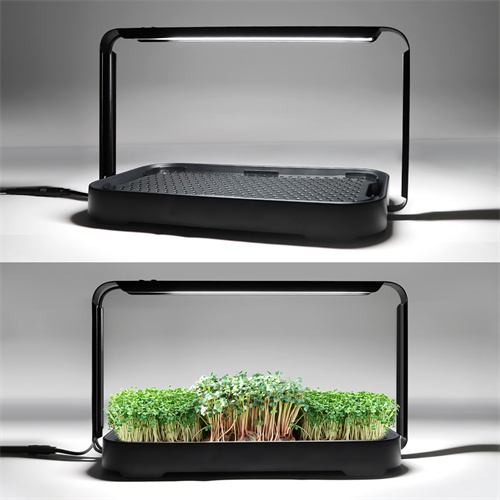 Indoor Microgreen Germination Smart Garden Kit Hyd...