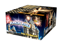 CE-13011 Mixed shape 92 shots Cake Burning Roses F3