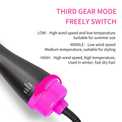 2-in-1 Multifunctional Hair Dryer