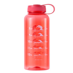 40 oz Tritan Water Bottle with Scale Marker