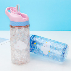 500ml Double-layer Ice Cup Water Bottles