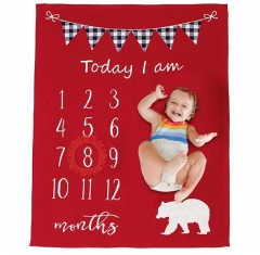 Baby Monthly Milestone Blanket