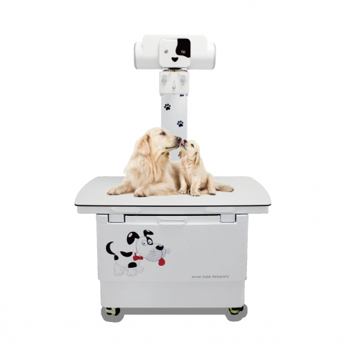 YSX200VET Plus 20kw 200mA Ветеринарная цифровая рентгенография X Ray для ветеринарной клиники с системой DR
