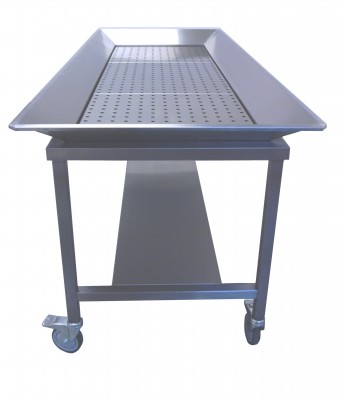 YSQX-04 Corpse mobile washing table with anti-splash side guards
