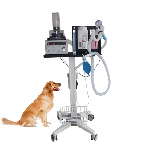 Máquina de anestesia veterinaria portátil avanzada quirúrgica móvil médica YSAV120V5