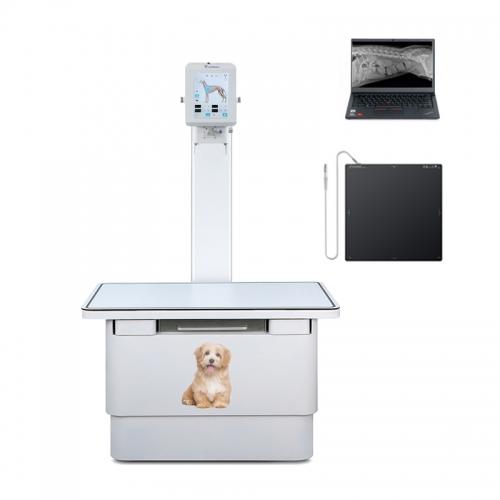 YSENMED 5.6kW Veterinary Digital X-ray Machine YSX056-PL