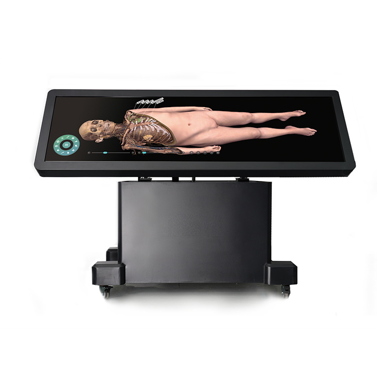 Système de Table d'anatomie virtuelle humaine numérique HD, Table de Dissection d'anatomie médico-légale, Table d'anatomie humaine numérique YSDHA-II88
