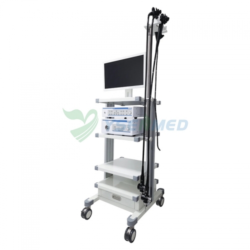 Ysenmed YSVME-300 Video Endoscope System With Video Gastroscope Video Colonoscope Video Bronchoscopy Video Duodenoscope Video Choledochoscope