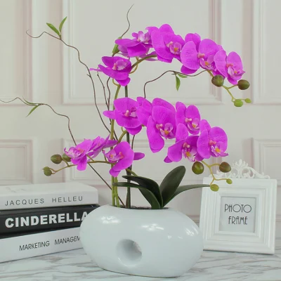 Professional Supplier Kinds of Bonsai Decorative Plant Europe Style Moth Orchid Artificial Flower