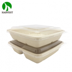 8x8 3-Compartment Square Takeaway Container