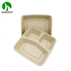 8x8 3-Compartment Square Takeaway Container