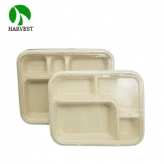 5-Compartment Takeaway Lunch Bento Box