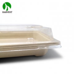 EG-2.0 Large Bio Sushi Tray