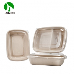 2-Compartment Rectangle Takeaway Container