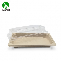 EG-0.4 Small Bio Sushi Tray