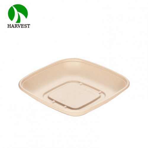Small 8.5x8.5 Square Salad Container