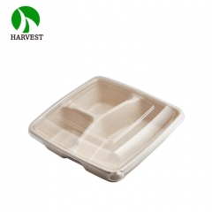 8x8 3-Compartment Square Takeaway Container