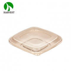 Small 8.5x8.5 Square Salad Container
