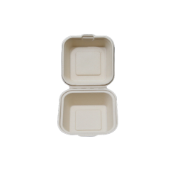 6 Inch Square Clamshell Pulp Food Container