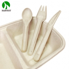 S01 Sustainable Bagasse Plant-based Spoon