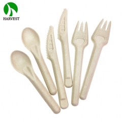 F01 Sustainable Bagasse Plant-based Fork