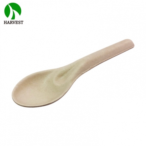 S01 Sustainable Bagasse Plant-based Spoon