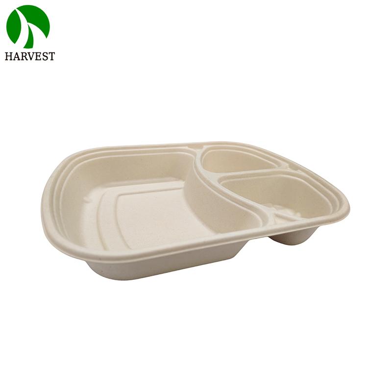 1000ML 3 Compartments Pulp Bagasse Lunch Box with lid