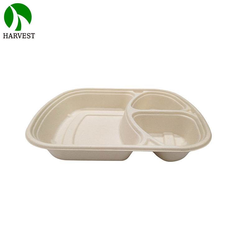 1000ML 3 Compartments Pulp Bagasse Lunch Box with lid