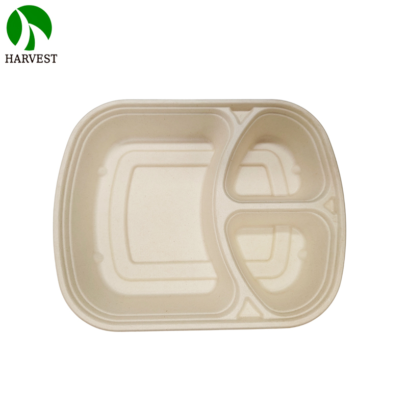 1000ML 3 Compartments Pulp Bagasse Lunch Box with lid