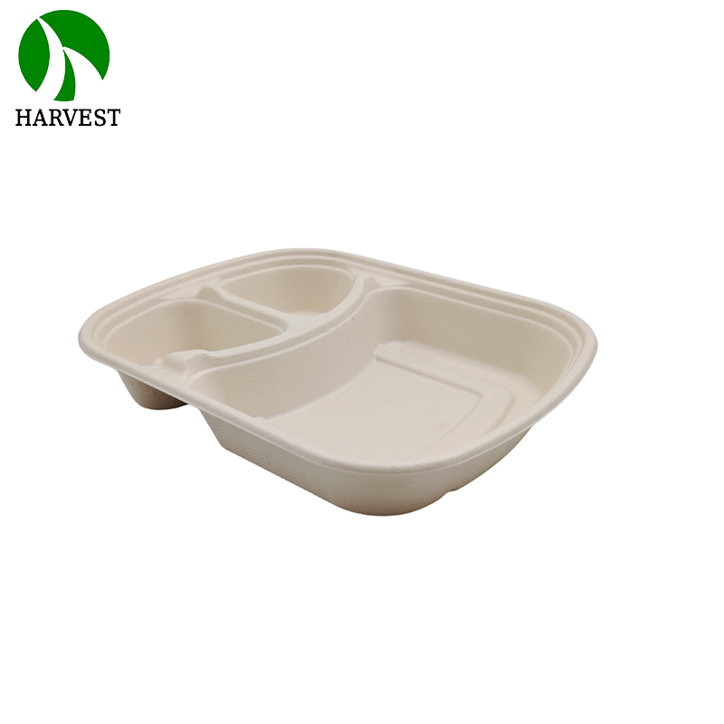 1000ML 3 Compartments Pulp Bagasse Lunch Box with lid