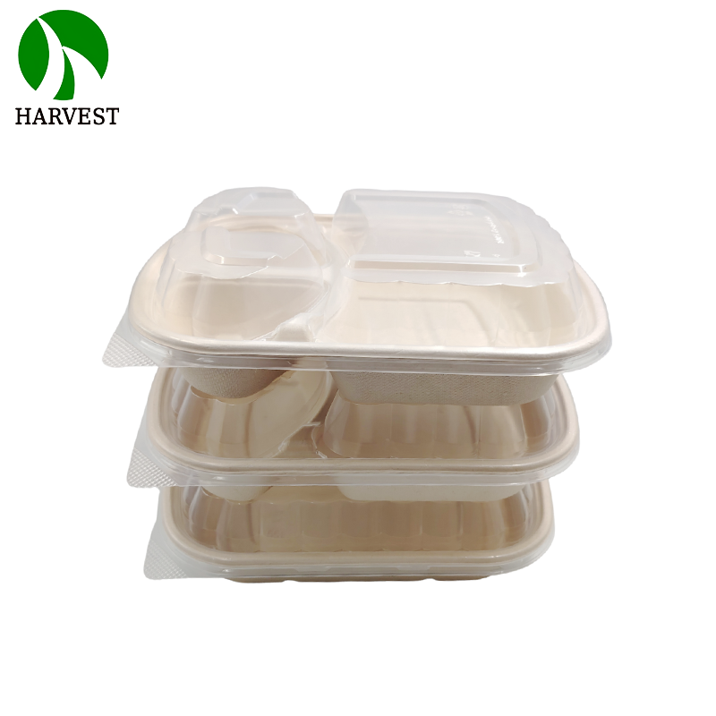1000ML 3 Compartments Pulp Bagasse Lunch Box with lid