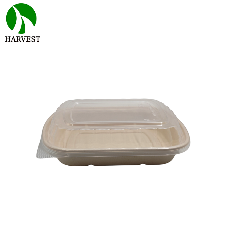 1000ML 3 Compartments Pulp Bagasse Lunch Box with lid
