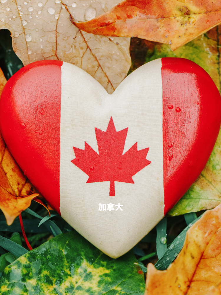 您可信赖的着色剂合作伙伴