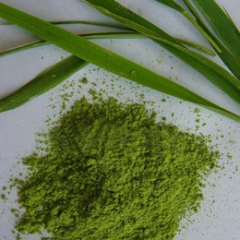 Organic Barley Grass Juice Powder