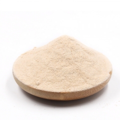 Organic Onion Powder