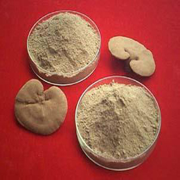 Wild Ganoderma Lucidum Fine Powder