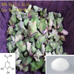 99% Gallic Acid/ CAS. No: 149-91-7