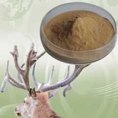 Natural Cartialgenous Powder, Antler Powder, Male Deer Antler