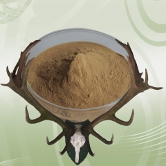 Natural Cartialgenous Powder, Antler Powder, Male Deer Antler