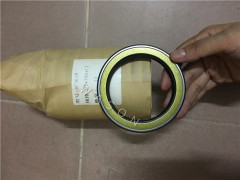 Oil Seal AP3618G (75*100*13)
