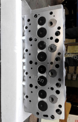 4D56 Cylinder Head Assembly