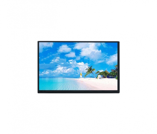 10.1 inch 1280x800 HD TFT LCD display 40pin LVDS interface optional touch screen panel