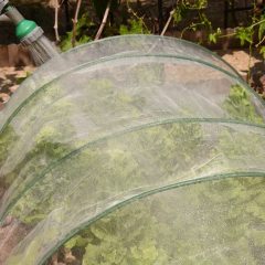 4'x100' Mosquito Bug Insect Bird Net Barrier Hunting Blind Garden Netting For Protect Your Plant Fruits Flower