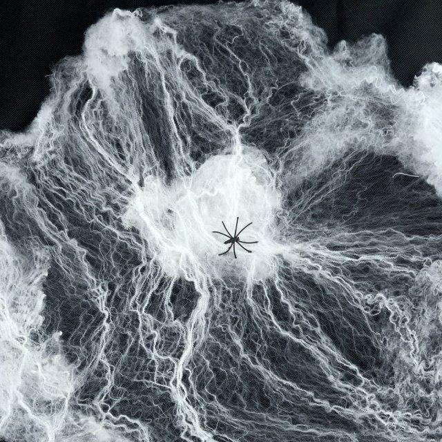 Set of 2 Creepy Scary Gauze Cloth Drape doorways walls entryways Halloween 30"x84" With Spiders White Webs