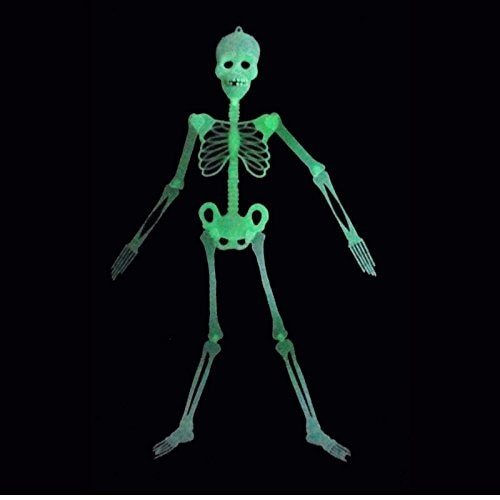 Halloween Luminous Skeleton Horror Party Skull Disco Decoration Party Props