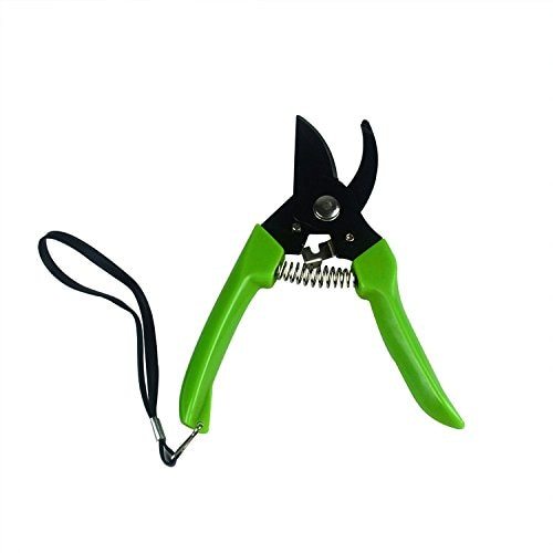 6.5 Inch H11 Fruit Tree Garden Pruning Shears Rough Branches Scissors Home Gardening Tool