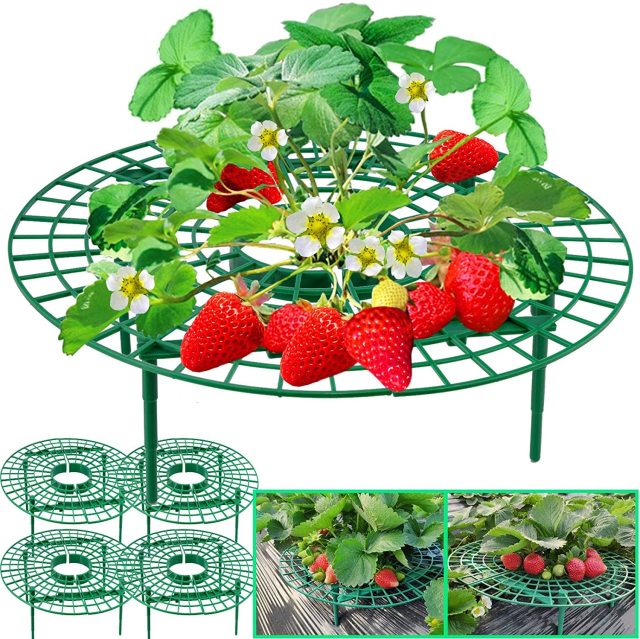 10 Packs Strawberry Plant Support Growing Frame, Keeping Fruit Elevated to Avoid Ground Rot and Dirt